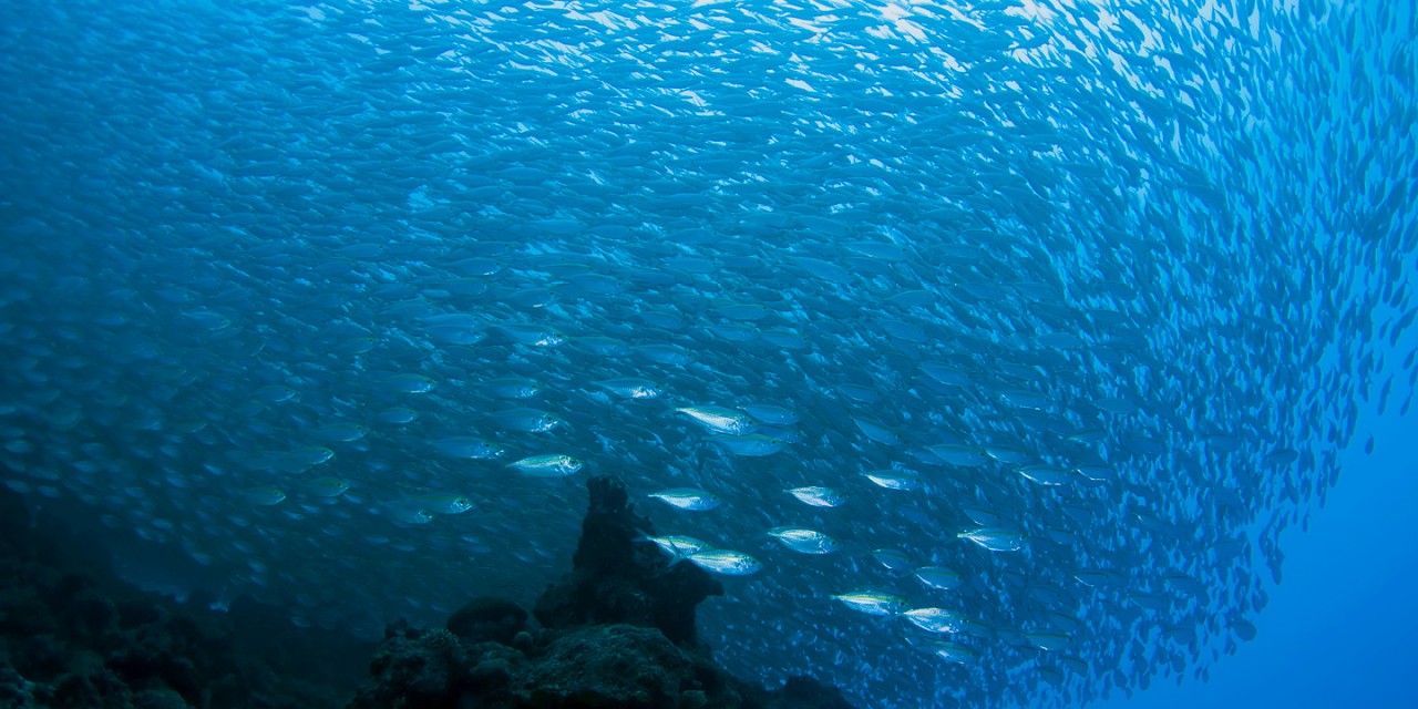 cur-header-1